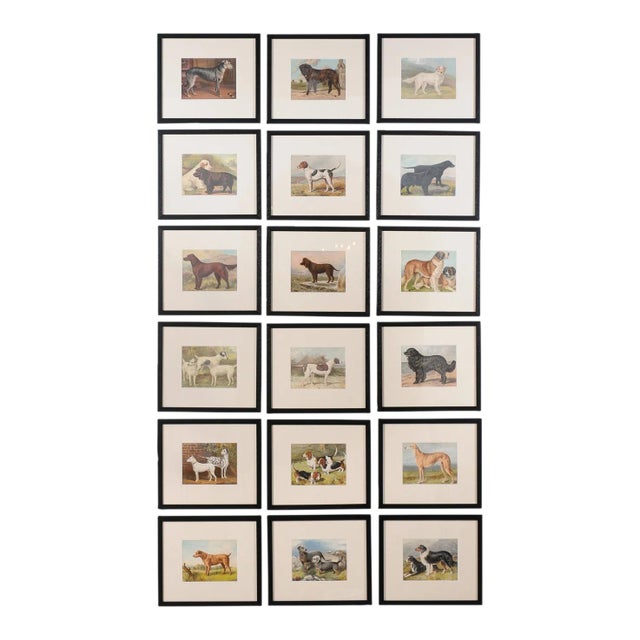 English Single Print - Cassell, Petter, Galpin & Co Chromolithograph Dog Print in Black Frame For Sale - Image 3 of 12