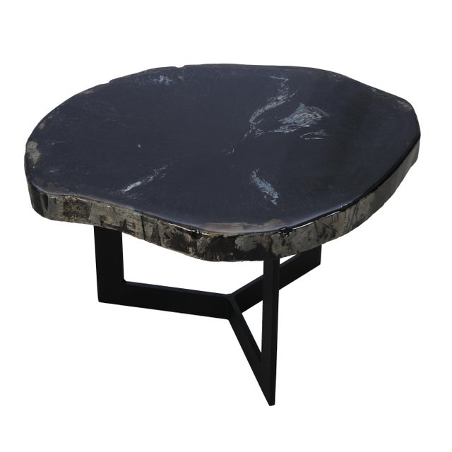 Metal Black Epoxy Covered Petrified Wood Coffee Tables by Xyleia Petrified Wood, Set of 2 For Sale - Image 7 of 12
