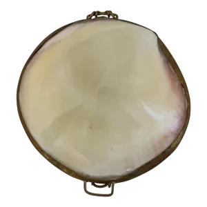 Capiz Mother of Pearl and Brass Trinket Box