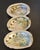 Coastal Natural Abalone Shell Collection, Set 3 For Sale - Image 3 of 9
