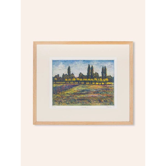 Gerhard messemer, "weiden iii", color adjustment on paper. Hand signed and numbered (79/120). Hanged on handmade real wood...