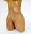 Wood Very Fine Carved Oiled Mango Wood Sculpture of a Nude Female Bust MINT For Sale - Image 7 of 11