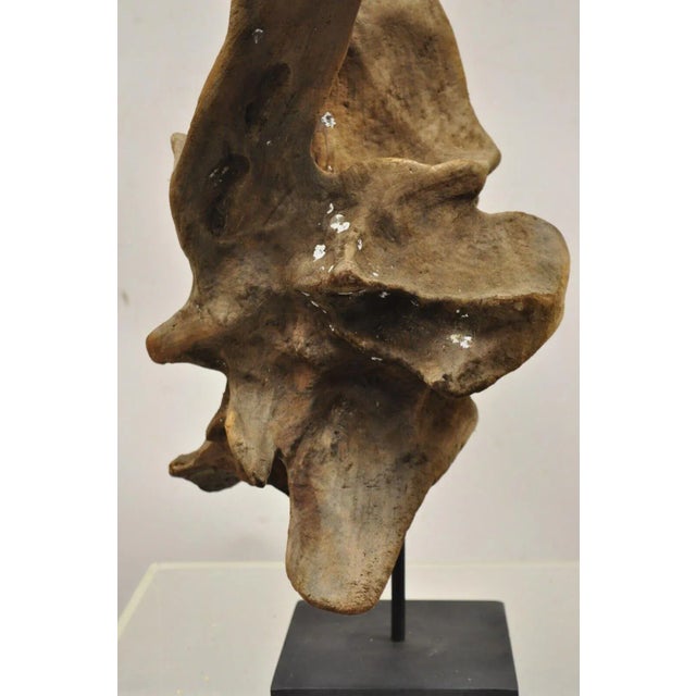 Vintage Abstract Sculpted Wood Sculptural Free Form Table Sculpture For Sale - Image 10 of 12