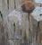 Coral Flora - Large Sized Textured Coral Flowers Painting on Gallery Wrap Canvas from Kanayo Ede Art in Atlanta. 36in x...