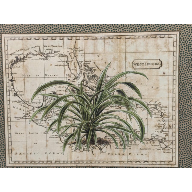 Green Set of 4 Framed Green Botanical Palm Prints on Antique Maps – Ralph Lauren Style For Sale - Image 8 of 14