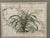Green Set of 4 Framed Green Botanical Palm Prints on Antique Maps – Ralph Lauren Style For Sale - Image 8 of 14