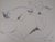 Alain Bonnefoit, Nude Woman, Original Drawing For Sale