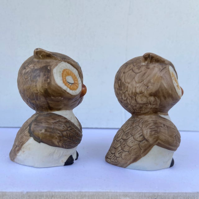 Ceramic Mid-Century Owl Salt & Pepper Shakers- a Pair For Sale - Image 7 of 13