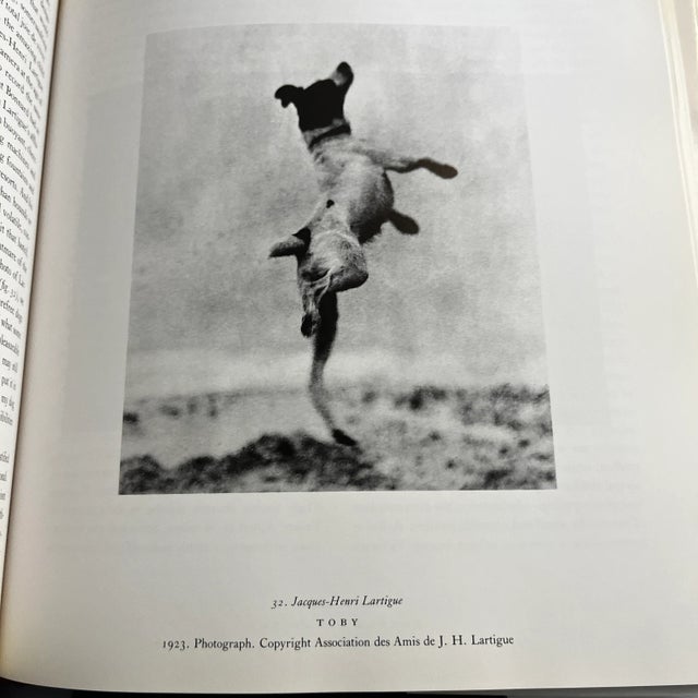 Brown 1980s The Dog in Art Book For Sale - Image 8 of 10