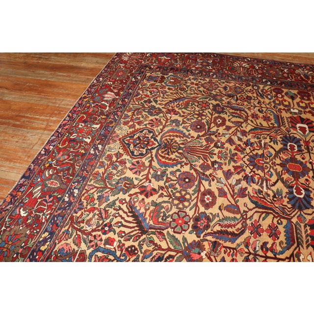 Antique Zabihi Collection Persian Bakhtiari Rug - 11' x 12'2" For Sale In New York - Image 6 of 12
