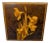 Early 20th Century Art Nouveau Marquetry box For Sale
