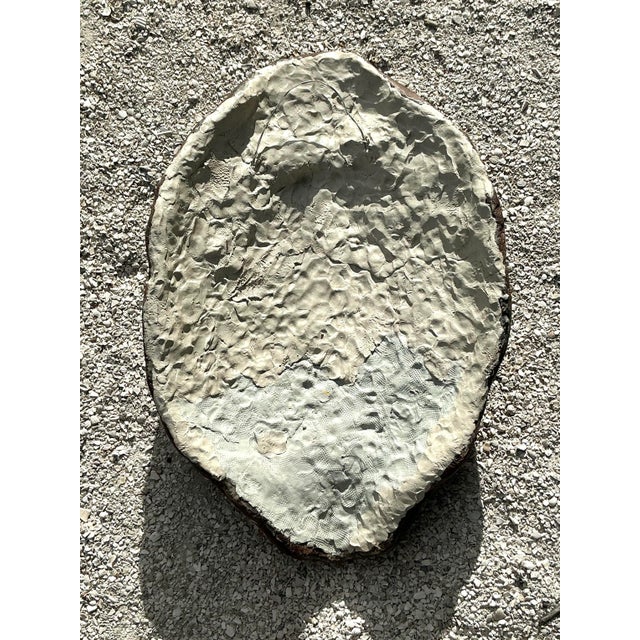 Vintage Boho Artisanal Pigmented Plaster Scagliola Turtle Shell For Sale In West Palm - Image 6 of 11