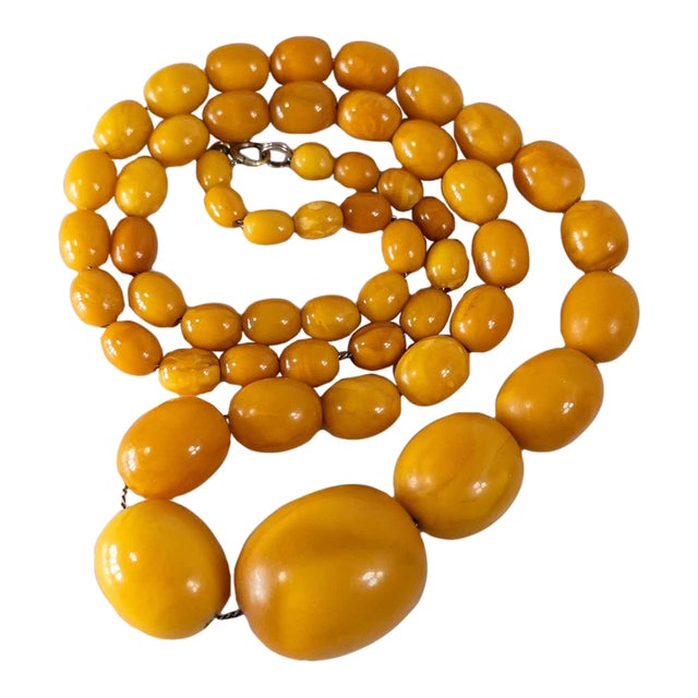 20th Century Butterscotch Egg Yolk Baltic Amber Bead Necklace For Sale