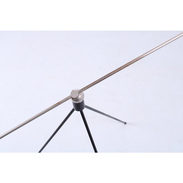 Magneto Grasshopper Floor Lamp by H. Fillekes for Artiforte, 1950s For Sale - Image 17 of 18