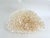 White Massive Natural Table Coral Specimen For Sale - Image 8 of 8