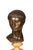 Metal Italian Grand Tour Bronze Bust of Caesar For Sale - Image 7 of 11