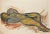 Nude is an original drawing in watercolor, realized in the Mid-20th Century by Jean Delpech (1916-1988). Good conditions....