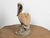 Brown Midcentury Painted Concrete Pelican Sculpture on Base with Distressed Patina For Sale - Image 8 of 12