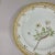 1920s Antique Royal Copenhagen Flora Danica “Dryas Octopetala” Botanical Dinner Plate, Iceland National Flower For Sale - Image 5 of 7