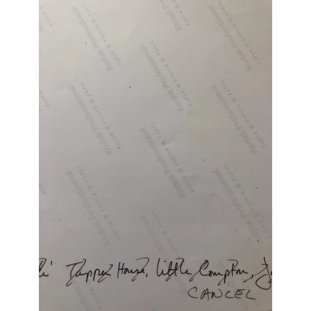 Peter C. Jones 1, Swiss Chard, Kitchen, Large Format Photo 24X20 Color Photograph Beach House RI, 2001 For Sale - Image 4 of 7