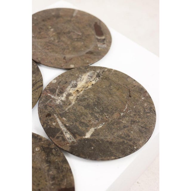 Marble Plates with Fossil Inclusions, Set of 7 For Sale - Image 6 of 8