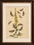 Paper Humphreys & Westwood, British Moths and Caterpillars on Mullein, 1845, Color Lithograph For Sale - Image 7 of 9