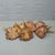 Brown Set of Six Antique Roe Deer Trophies, Germany Ca. 1890s / 1900s For Sale - Image 8 of 10
