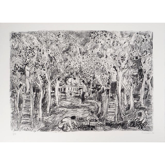 André Cottavoz, Summer Picking in Vallauris, 1976, Original Lithograph For Sale - Image 10 of 10