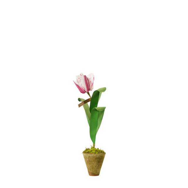 The Green Vase x Chairish Mini Tulip Plant in White with Purple Stripe For Sale - Image 4 of 4