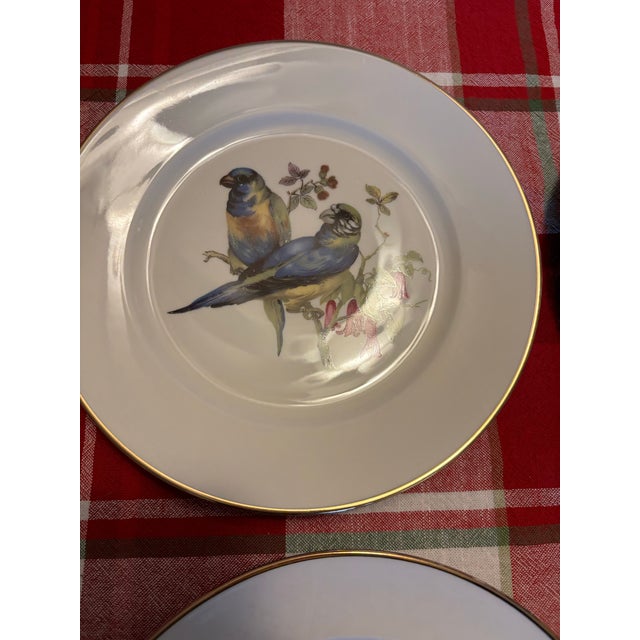 Mid Century Jkw Western Germany Porcelain Song Bird Plates, Set of 6 For Sale - Image 10 of 12
