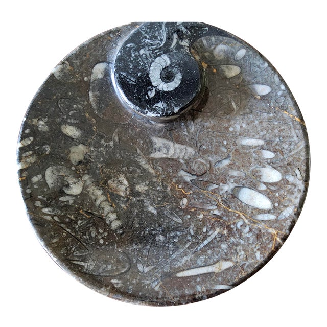 Vintage Fossil/Stone Dish For Sale