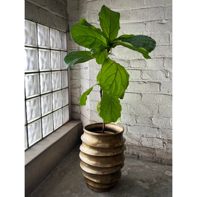 Contemporary sculptural planter in bronzed metal with an organic, asymmetrical form. The fluid silhouette works across a...