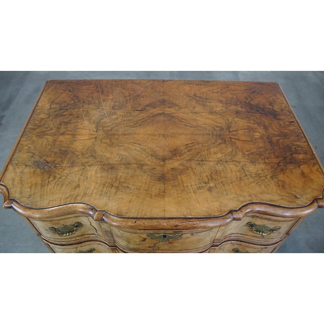 Brown 18th Century Baroque Organ-Curved Burr Walnut Wooden Chest of Drawers For Sale - Image 8 of 15