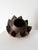 Sculptural Carved Coconut Bowl, 1890s For Sale - Image 4 of 7