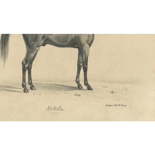 Mid 19th Century August Jäger, Aga, 1846, Paper Lithograph For Sale - Image 5 of 9