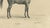 Mid 19th Century August Jäger, Aga, 1846, Paper Lithograph For Sale - Image 5 of 9