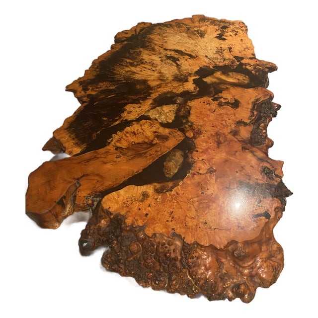Vintage Redwood Burl Tree Trunk Coffee Table – Sculptural Organic Modern Design For Sale