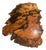 Vintage Redwood Burl Tree Trunk Coffee Table – Sculptural Organic Modern Design For Sale