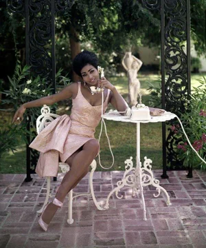 Fancy Telephone' Contemporary Archival Color Photograph Print From the Original Negative by Tom Kelley - 16x20