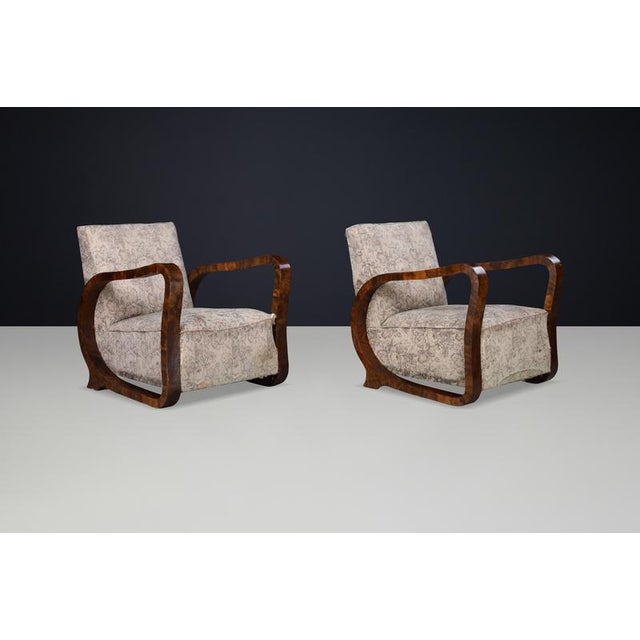 Brown Italian Art Deco Sculptural Burl Wood Chairs, 1920s, Set of 2 For Sale - Image 8 of 10