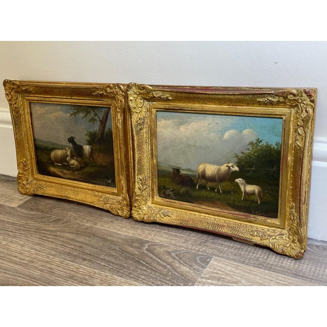 Wood Antique Belgian Sheep Paintings Pair, Franz Van Severdonck Oil on Panel Pastoral Farm Scenes For Sale - Image 7 of 18