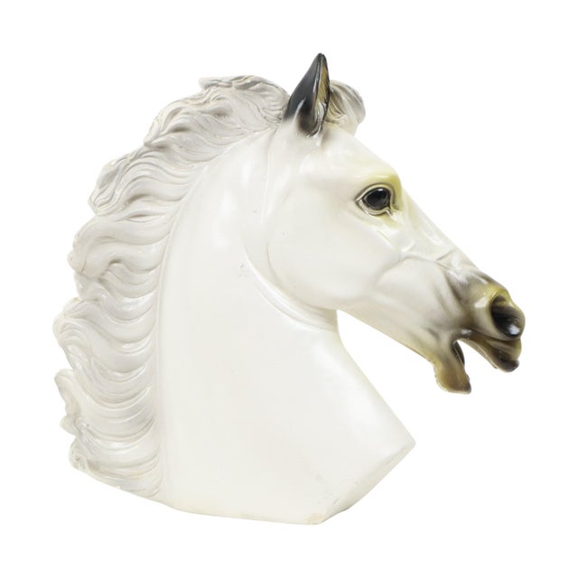 Cream Large Classical Greek Style Parthenon Horse Bust in Plaster For Sale - Image 8 of 17