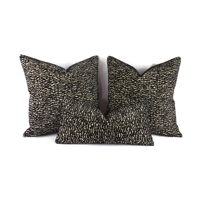 Manuel Canovas Cowtan and Tout Zebris Black and Cream Velvet Pillow Cover - 20" X 20" For Sale - Image 4 of 5