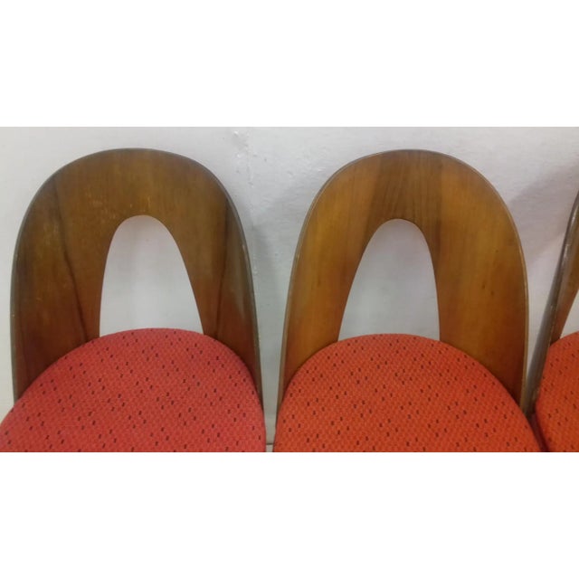 Mid-Century Modern Dining Chairs by Antonín Šuman, 1960s, Set of 4 For Sale - Image 3 of 11
