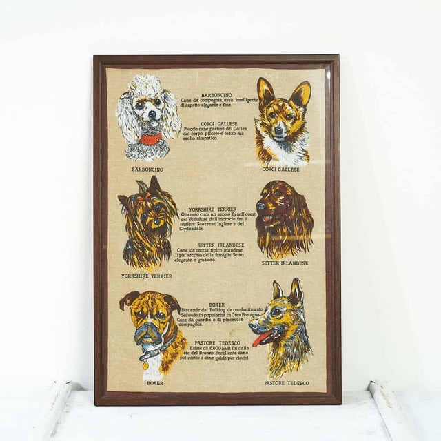 Vintage Dog Breed Print, 20th Century For Sale - Image 5 of 5