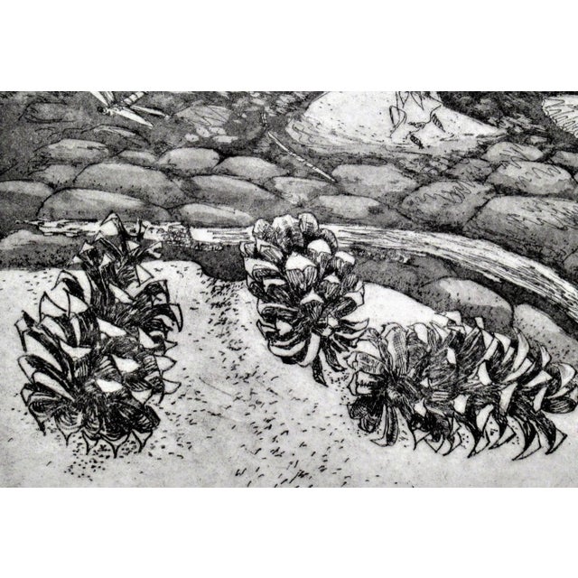 American Arnold A. Grossman, Pine Cones, Circa 1990 For Sale - Image 3 of 5