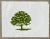 Traditional Rick Holt Oak Tree Green Serigraph For Sale - Image 3 of 3