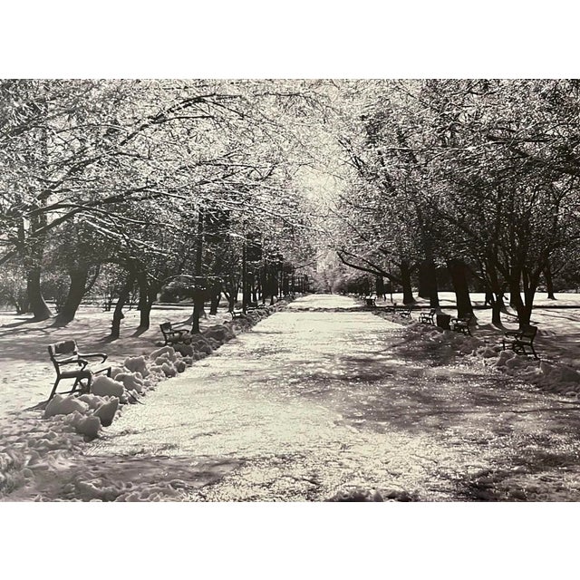 Late 20th Century Signed Gelatin Silver Print ‘Washington Park’ by Anita MacDonald – Framed Black & White Winter Landscape Photograph For Sale In New York - Image 6 of 10