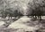 Late 20th Century Signed Gelatin Silver Print ‘Washington Park’ by Anita MacDonald – Framed Black & White Winter Landscape Photograph For Sale In New York - Image 6 of 10