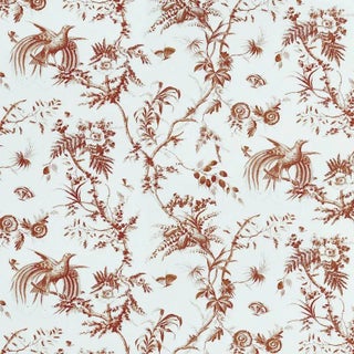 Schumacher X Jill Lasersohn Toile De La Prairie Fabric in Brown For Sale